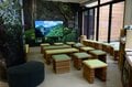 【世界自然遺産・屋久島】 屋久島をレンタカーで一周するドライブ旅「千尋の滝・大川の滝・ガジュマル・西部林道」を一日でめぐる！の画像004