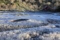 北アルプスに抱かれた高層湿原ならではの紅葉模様「栂池自然園」の画像007