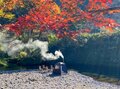 「川サウナのベストシーズンは夏ではなく秋！」その理由をお伝えします【ユーコンカワイの川サウナ研究所 vol.13】の画像002