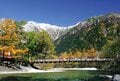 【富士山の次に登る山 vol.2】登山の魅力はムゲン大「美林を楽しむ山歩き」 上高地・甲武信岳・北八ヶ岳の画像001