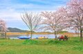 「水の上から」優雅にお花見！  川下りシーズンイン前の練習にも最適な桜の名所＜近江八幡水郷めぐり 前編＞【ユーコンカワイの股旅リバログ vol.29】の画像002
