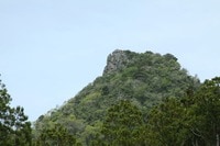 東京湾や富士山の絶景も楽しめる、千葉県・房総の山3選！ 「房州アルプス・伊予ヶ岳・鋸山」 春の低山ハイキングに最適