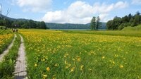 “まるっと楽しむ 尾瀬の山歩き” vol.1【福島県 檜枝岐村】 江戸時代から続く “歌舞伎の村”！  入山口からたった40分で花の宝庫「大江湿原」へ