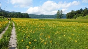 “まるっと楽しむ 尾瀬の山歩き” vol.1【福島県 檜枝岐村】 江戸時代から続く “歌舞伎の村”！  入山口からたった40分で花の宝庫「大江湿原」へ