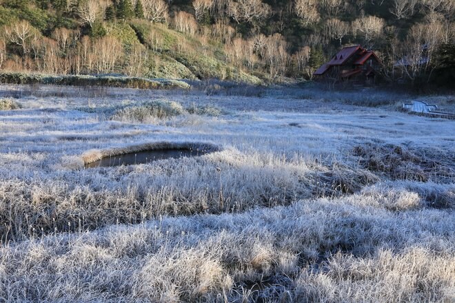 北アルプスに抱かれた高層湿原ならではの紅葉模様「栂池自然園」の画像007