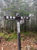 【この秋、絶対！ 八ヶ岳】第7回「縞枯山」 縞枯模様と苔の森を歩く不思議な山の画像003