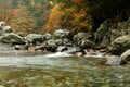 紀伊山地を流れる“天の川” 見惚れるほど麗しい！ 「みたらい渓谷」紅葉の渓谷美！  “冬季ニジマス管理釣り場”で良型ニジマスを狙う 【奈良県天川村】 2024年の画像004
