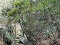 ＜新春パワースポットめぐり＞里山ハイキングとセットで詣でたい巨石スポット「磐船神社」【里山アドベンチャー！ソトアソ日和 vol.8】の画像008