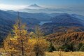 この秋に行きたい！ 至極の紅葉登山【最終回】今が見ごろ、まだ間に合う関東近郊の「浅間山・丹沢山・大菩薩嶺」の画像002