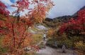10月初旬「北アルプス紅葉」は蓮華温泉から白馬大池まででもOK！  登山デビューの頃におすすめされたコース「錦秋の登山道＆野天風呂」レポの画像008