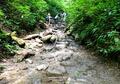 ゴールデンウィークは高尾山登山に！「おすすめルート」とオンラインで簡単「登山計画書」を作る方法とは？の画像002