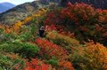 【今がちょうど見頃】ロープウェーで登れるスリル満点岩峰ルート「八海山」の紅葉具合をレポート＜新潟県・南魚沼市＞の画像009