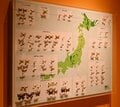 度肝を抜かれる巨大模型！ 「ムシ好きでなくても必見」 マニアックな視点が斬新すぎる特別展『昆虫 MANIAC』 “実はこれからが見学チャンス” 【国立科学博物館】2024年の画像006