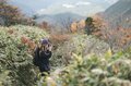 【日本百名山】感動しっぱなし！ 百聞は一見にしかず！ 紅葉の恵那山へ《長野県・岐阜県》2022年の画像001