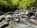 秘境感ハンパなし！ 南アルプス「穴場の大絶景」スポット「畑薙」2時間半トレッキング！ 巨大ダム＆高さ30ｍ・全長180ｍ吊橋のスリル「現地レポ」の画像005