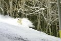 日本が世界に誇るスノートリップタウン【札幌の魅力】大都会と山が共存する奇跡の街は「美食＆スキー天国」の画像009