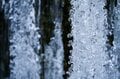 「雪の青森って、素敵だね！」 白銀の奥入瀬渓流をスノーシューで散策し、冬だけの大自然アート「氷瀑」を鑑賞する【「奥入瀬渓流ホテル」滞在型満喫プラン】の画像027