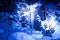 「雪の青森って、素敵だね！」 白銀の奥入瀬渓流をスノーシューで散策し、冬だけの大自然アート「氷瀑」を鑑賞する【「奥入瀬渓流ホテル」滞在型満喫プラン】の画像017