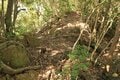 そそり立つ切岸が行く手を阻む。山陰の知られざる名城  石見国・周布城〈前編〉（島根県浜田市）【戦国の山城を攻める vol.01】の画像007