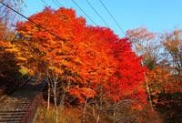 見ごろ10月下旬から！  紅葉の奥秩父「三峯神社」＆「大血川渓谷」現地レポ！  関東最大級パワースポットと渓谷美の絶景 “秋真っ盛り” 散策