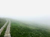 「曇り空・かすみ」に “彩られる” 山の絶景！  梅雨どきの「特別な景色」を求める登山＆ハイキング「愉しみかた」