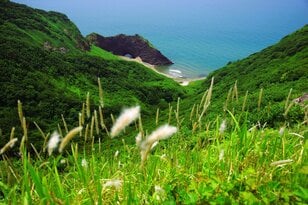 【6月は梅雨の合間を狙え】ふり返ればオーシャンビュー！  ひと足早い初夏の角田山【月めくりの低山カレンダー #06】