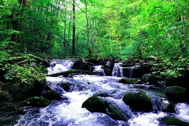 アウトドア初心者」にもおすすめ！「ミシュラン・グリーンガイド二つ星