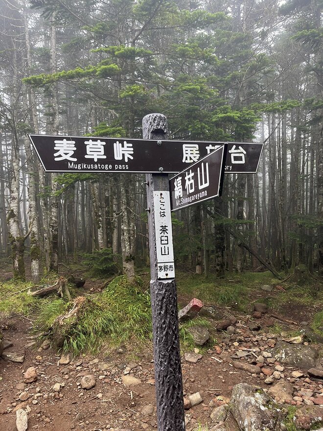【この秋、絶対！ 八ヶ岳】第7回「縞枯山」 縞枯模様と苔の森を歩く不思議な山の画像003