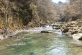 【渓流釣り】陽光きらめく春の渓でフライフィッシング「カゲロウ舞う川面からつぶらなヤマメが飛び出す！」【群馬県】の画像006