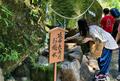 世界文化遺産登録20周年「熊野古道」記念イベントとあわせて行きたい！ 「大門坂・熊野那智大社・那智の滝」約3時間ハイキングレポの画像016