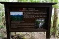 【世界自然遺産・屋久島】屋久杉の巨木「弥生杉・二代杉・気根杉」と苔に包まれた “もののけの森”「白谷雲水峡」をめぐるの画像006