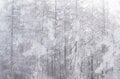 【日本百名山が36座も見える】大展望と霧氷が美しい「守屋山」雪中ハイキングの魅力の画像010