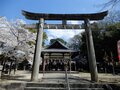 並走する「JR奈良線」沿いの藤原氏陵墓群をたずね、住宅街にある宇治茶畑をかいま見る【京阪電鉄宇治線（その3）関西鉄道路線周辺曼荼羅 vol.33】の画像004