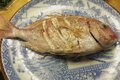 「海釣り初心者」でもこんなに釣れた！  熱海でタイ、カツオ、サバが大漁！  お味も美味しすぎ「正直感動レポート」の画像015