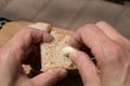 お値段もお手頃「イベリコ豚」の「レバーパテ缶」で作るスペイン風オープンサンド！【缶詰博士の缶たん”CAN”P料理 vol.3】の画像004