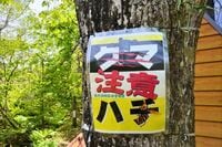 アウトドア「危険な生き物」ワースト5対策！ 「登山歴15年・元キャンプ場スタッフ」経験談に学ぶ「常備アイテム」と予防法