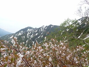 東大雪の名峰、石狩岳へ至る急登のシュナイダーコースへ【石狩岳】 2025年・北海道
