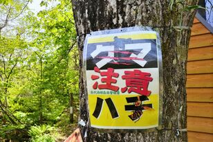 アウトドア「危険な生き物」ワースト5対策！ 「登山歴15年・元キャンプ場スタッフ」経験談に学ぶ「常備アイテム」と予防法