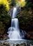 【山形県・天元台ロープウェイ】日本百名山「西吾妻山」高層湿原に点在する“池塘や草紅葉”  変化に富んだ登山道はフォトスポットが大充実！の画像005