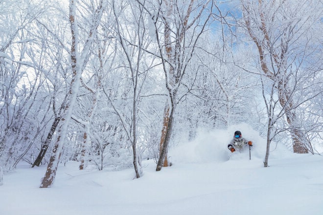 【斑尾高原スキー場】世界中のファンを魅了する、名物パウダーとツリーラン〈長野県〉の画像