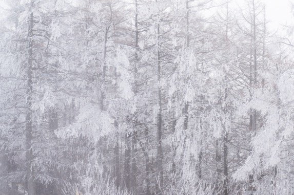 【日本百名山が36座も見える】大展望と霧氷が美しい「守屋山」雪中ハイキングの魅力の画像010