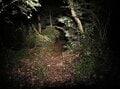 足元に広がる360度ビューの夜景！大阪平野から京都・奈良まで見渡せる「交野山ナイトトレイル」【里山アドベンチャー！ソトアソ日和 vol.3】の画像007