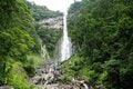 【世界遺産・熊野古道】初めての「熊野古道」歩きにおすすめ！  1000年前の石畳の巡礼路から熊野那智大社、那智の滝までを3時間で満喫する「大門坂ルート」の画像012