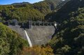【3年連続】「全国No.1の紅葉スポット」鮮やかに染まる“もみじ湖”と“もみじのトンネル”《長野県・箕輪町》2022年の画像002