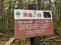 【この秋、絶対！ 八ヶ岳】第7回「縞枯山」 縞枯模様と苔の森を歩く不思議な山の画像005