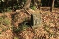 次々に現れる切岸に驚きの連続！  大勢力のはざまで揺れた小豪族の宿命　石見国・松山城〈前編〉（島根県江津市）【戦国の山城を攻める vol.03】の画像013