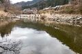 清流「大芦川」解禁日！【驚愕の人出】で大盛況！ 水面を割って躍り出る「美ヤマメ」の春・2022年4月の画像003