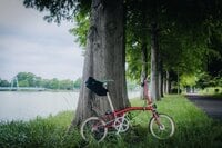 たった10kmの自転車周遊「ミズイチ」ってなに？  23区随一の水郷公園なら30分でもかなりエピック【ゆる6輪の旅 vol.01 水元公園】