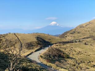 「富士山が近づいてくる」日本一の山と太平洋を望む伊豆山稜線歩道のロングトレイルでの「癒やし体験」ルポ