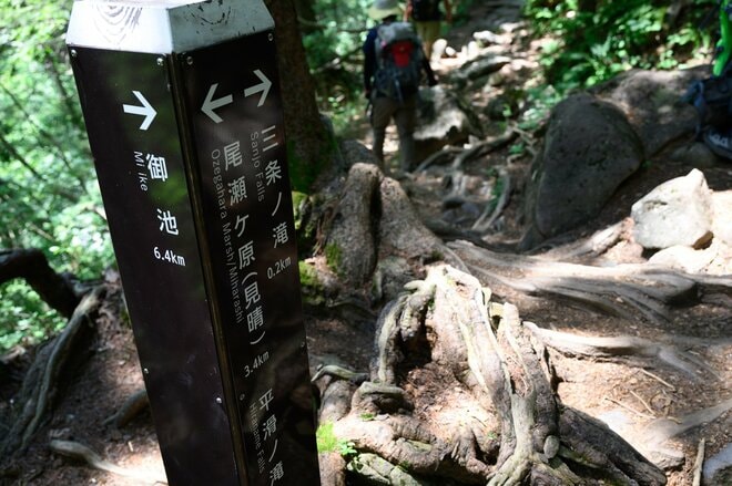 「奥只見湖」から行く尾瀬！  船とバスで繋ぐ絶景ルートを経て「裏燧林道・三条ノ滝・尾瀬沼」をめぐる1泊2日の贅沢ハイク【新潟県魚沼市】の画像010